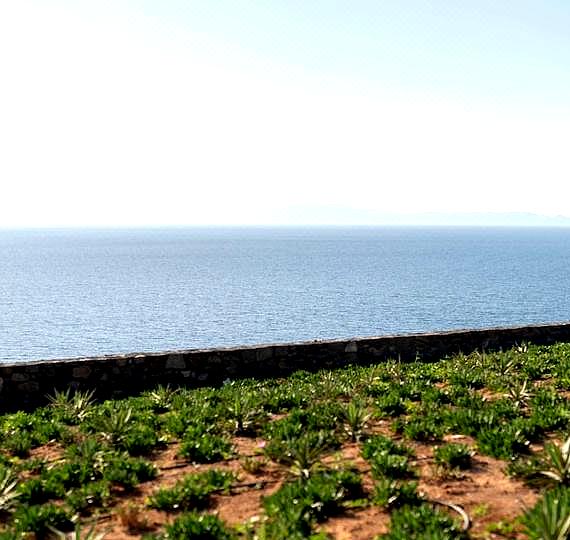 Santo Mine Oia Suites